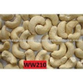 W210 cashew nut kernel